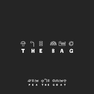The Bag (feat. Audience Economy) (Explicit)