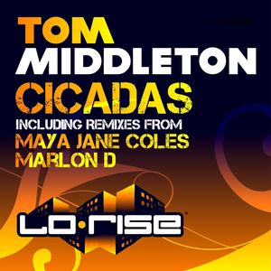 Cicadas (Marlon D's U.C. Colombian Mix)
