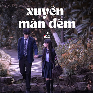 Xuyên Màn Đêm (Lofi)