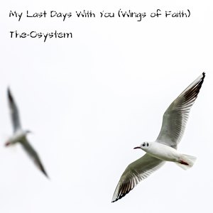 My Last Days with You (Wings of Faith)