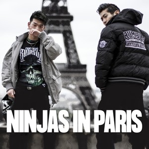 Ninjas In Paris