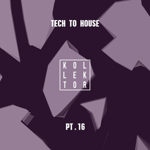 Tech to House, Pt. 16