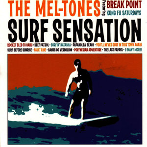 Surf Sensation (songs from Nickelodeon's SPONGEBOB SQUAREPANTS)