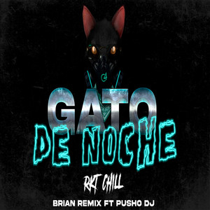 Gato De Noche (Rkt Chill) (Remix)