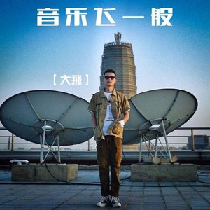 一生所爱-大飞