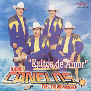 Exitos De Amor