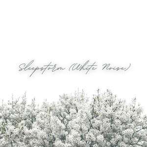 Sleepstorm (White Noise)