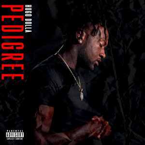 Pedigree 2 (Explicit)