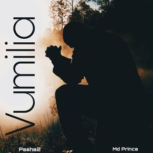 Vumilia (feat. Pasha2) [Explicit]