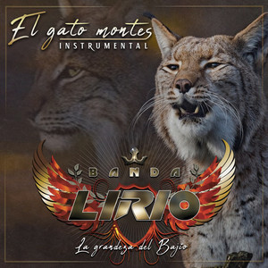 El Gato Montes (Inst.)