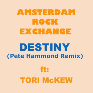 DESTINY(feat. Tori Mckew) (Pete Hammond Remix)