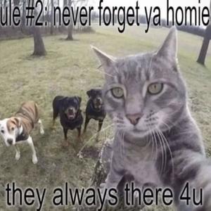 in yo head (Explicit)