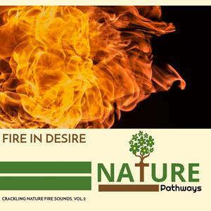 Fire in Desire - Crackling Nature Fire Sounds, Vol.2