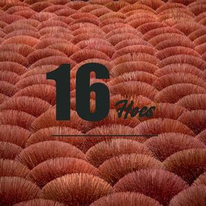 16Hoes (feat. Brown & Creed Bellemie) [Explicit]