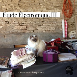 Etude Electronique III - A French Way of Deep House