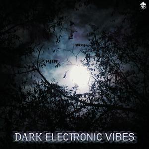 Lost (Oliwier Skarba Remix)