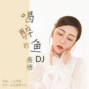 喝醉的鱼（DJ何鹏版）