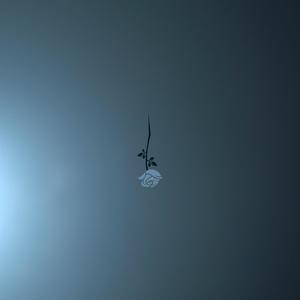 CATHARTIC (Explicit)