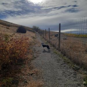 Hope And Trepidation