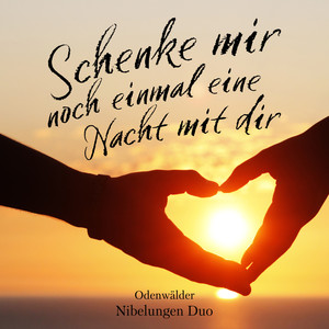 Schenke mir noch einmal eine Nacht mit dir (Single)