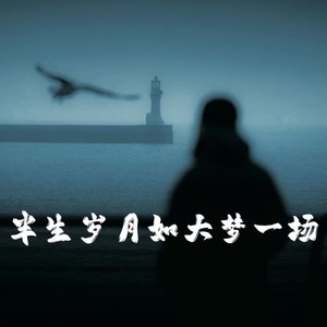 半生岁月如大梦一场