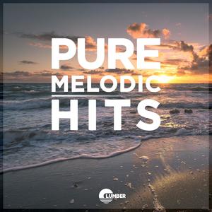 Pure Melodic Hits