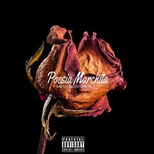Introduccion: Paisaje Gris (Explicit)