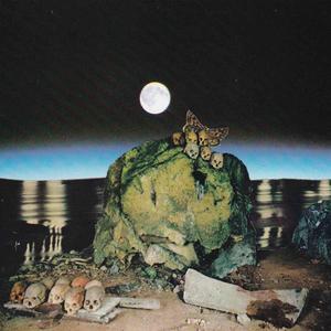 NoHoldsBarred (Explicit)