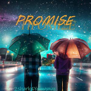 PROMISE