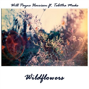 Wildflowers (feat. Tabitha Meeks)