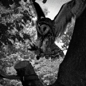 GET A LIFE (feat. 905emerald) (Explicit)