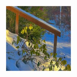 light (feat. ben ira)