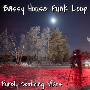 Bassy House Funk Loop