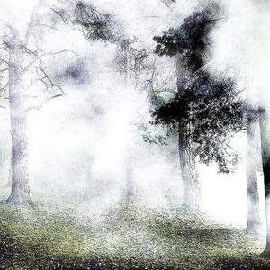 RockHerShit (feat. myst) (Explicit)