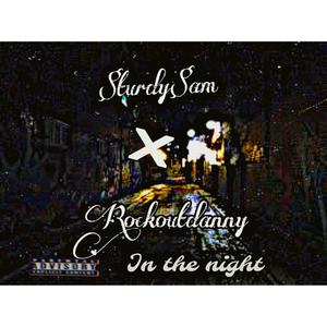 In the night (feat. Rockout Danny) (Explicit)