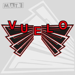 Vuelo