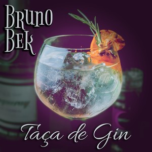 Taça de Gin