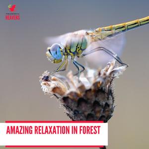 Amazing Relaxation In Forest