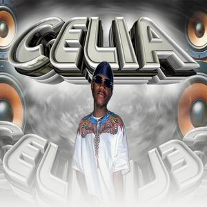 Celia (La Conocí Un Domingo) - Ritmo Exotico