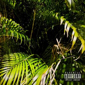 OutBack (feat. Maitro) (Explicit)