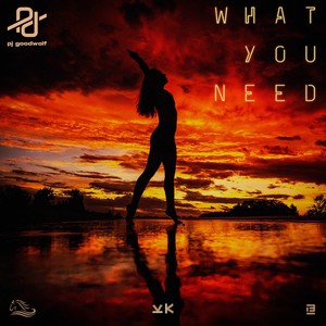 What You Need