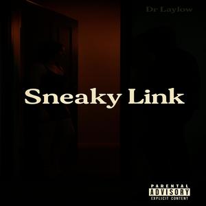 Sneaky Link (Explicit)