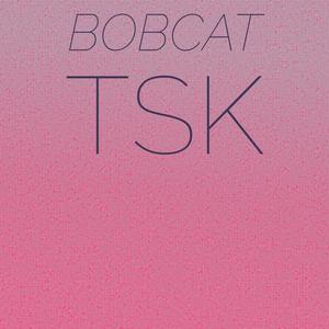 Bobcat Tsk