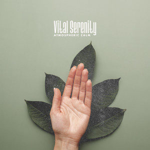 Vital Serenity