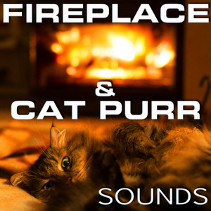 Fireplace & Cat Purr Sounds