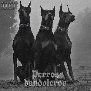 Perros bandoleros (Explicit)