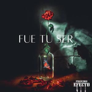 Fue Tu Ser