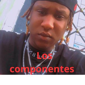 LOS COMPONENTES (Explicit)