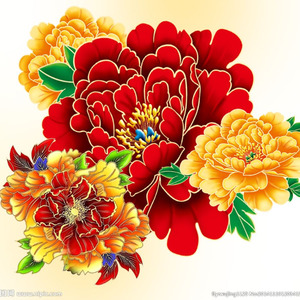 川西，千古美人