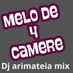 Melo de 4 camere